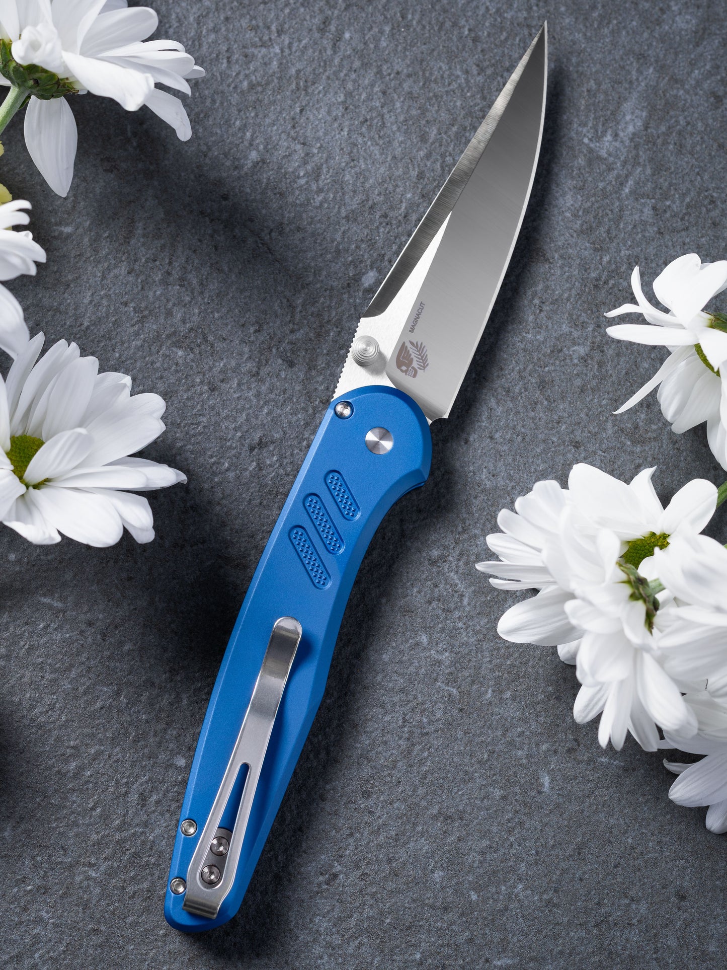 ProTech Avalon PN1100-LTD Blue