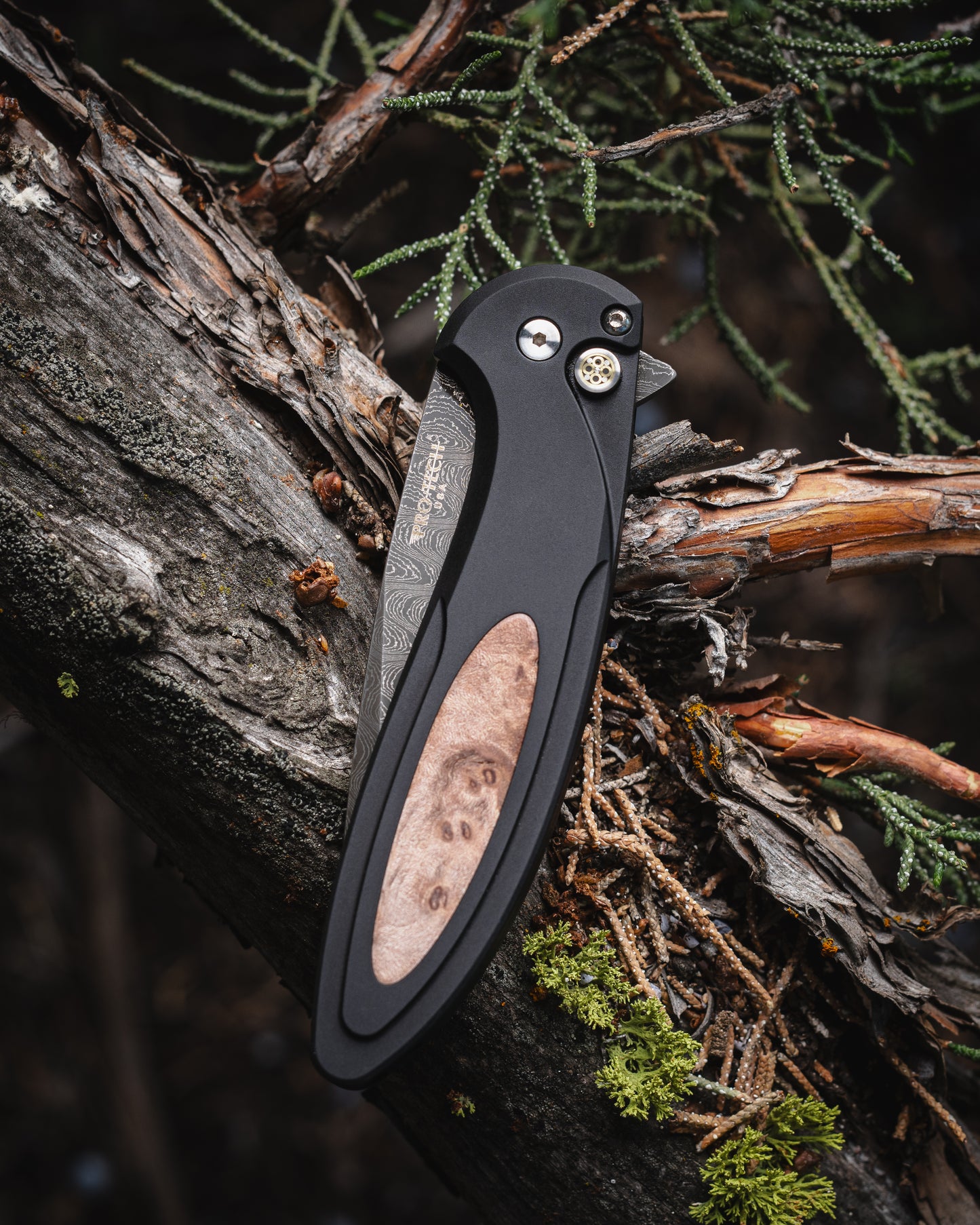 ProTech Cambria 2 Custom 005