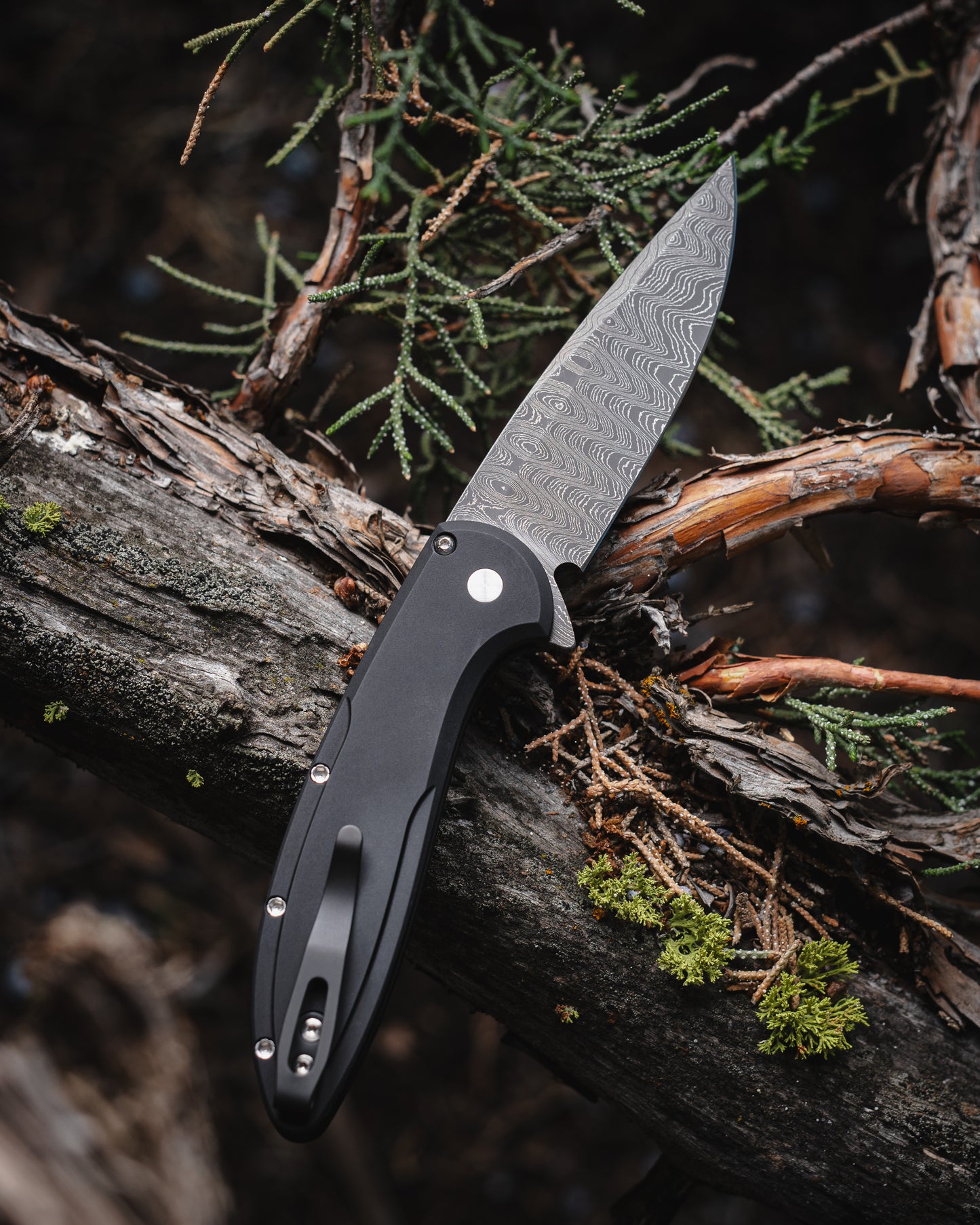 ProTech Cambria 2 Custom 005