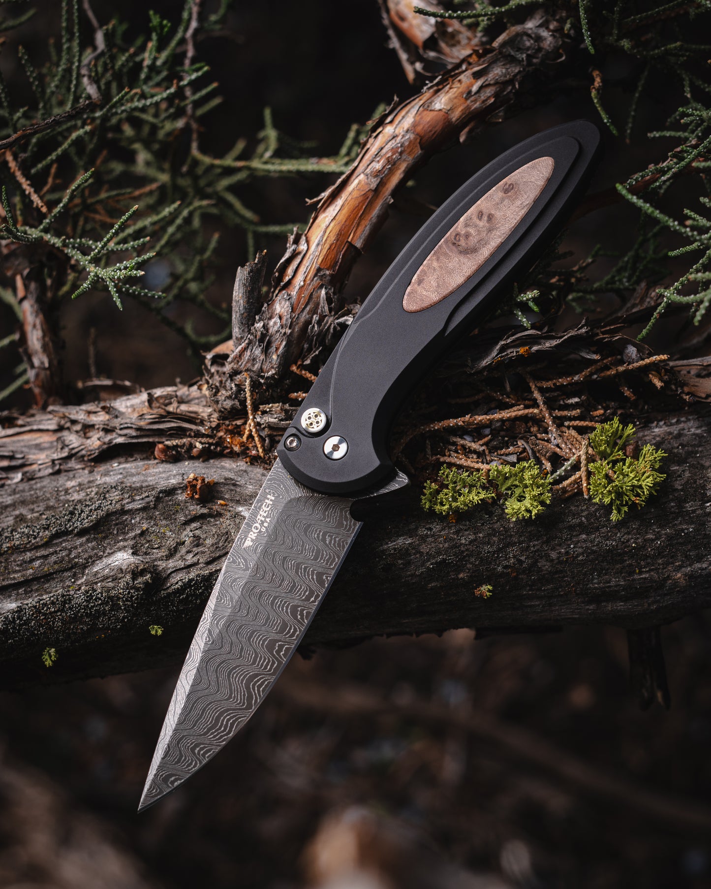 ProTech Cambria 2 Custom 005