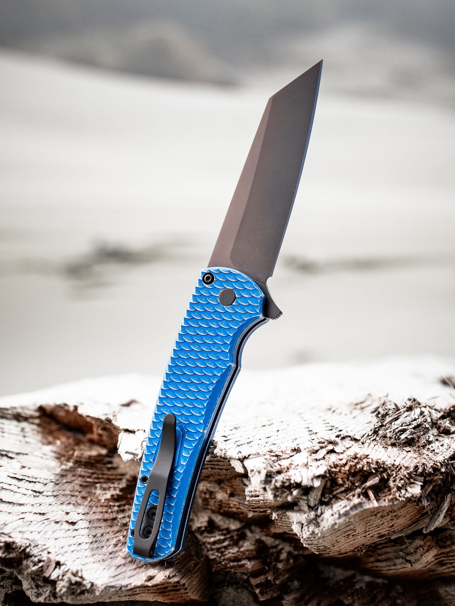 ProTech Malibu 5436-BW Blue LTD