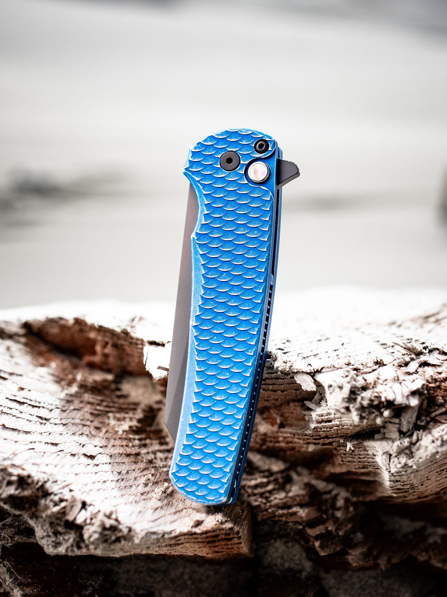 ProTech Malibu 5436-BW Blue LTD