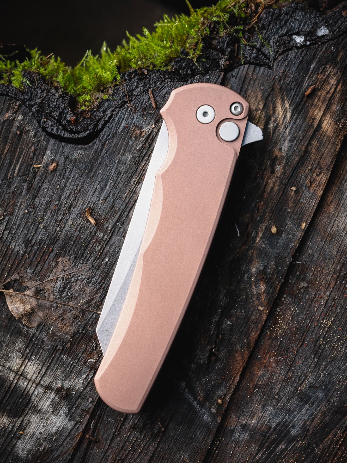 ProTech Malibu 5401-FDE